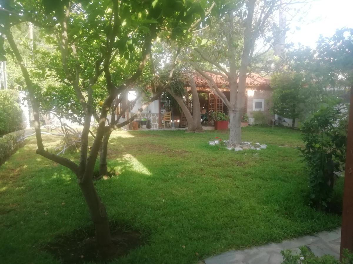 Anna'S Apartment And Studio Αρτέμιδα Εξωτερικό φωτογραφία
