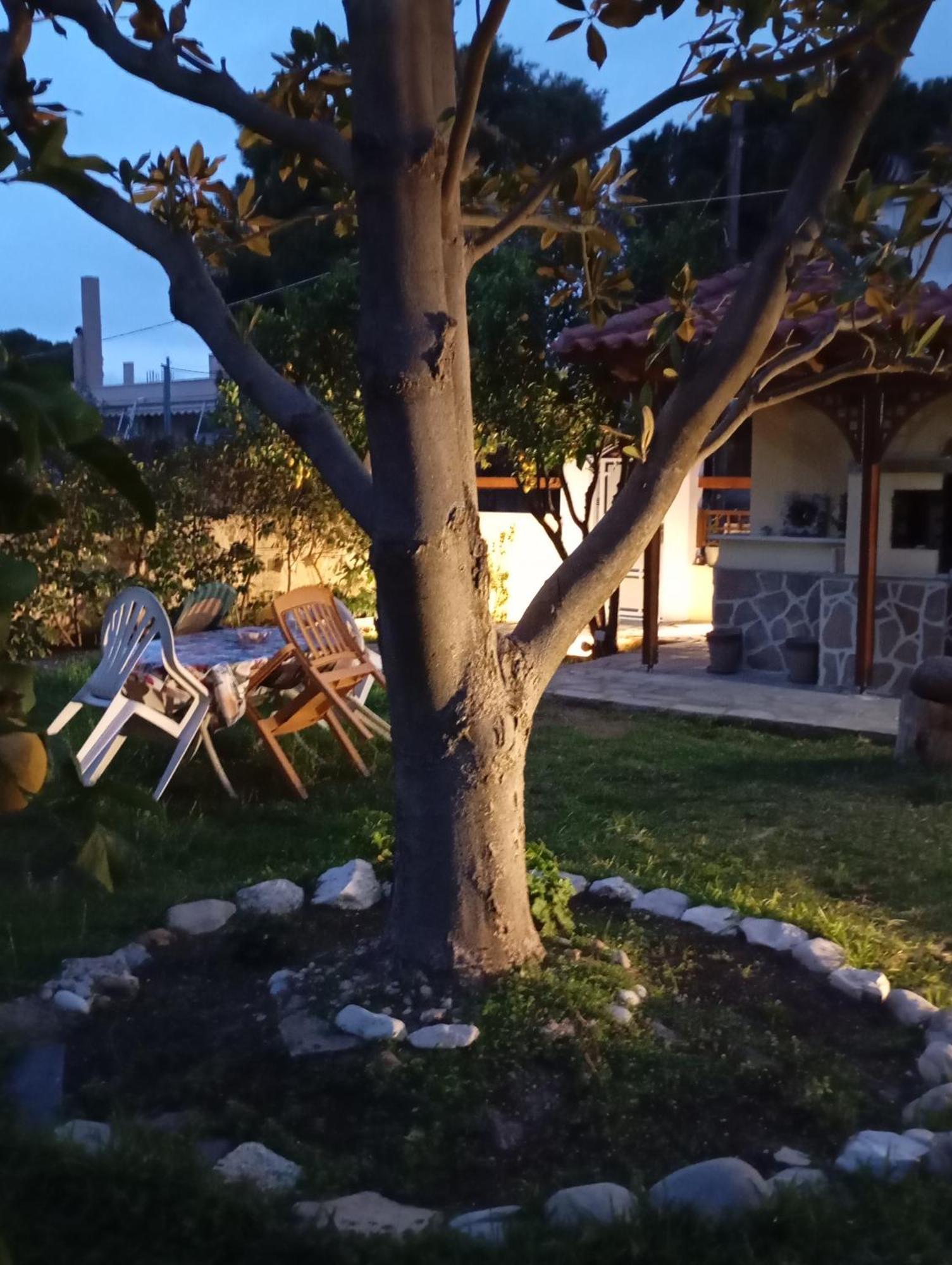 Anna'S Apartment And Studio Αρτέμιδα Εξωτερικό φωτογραφία