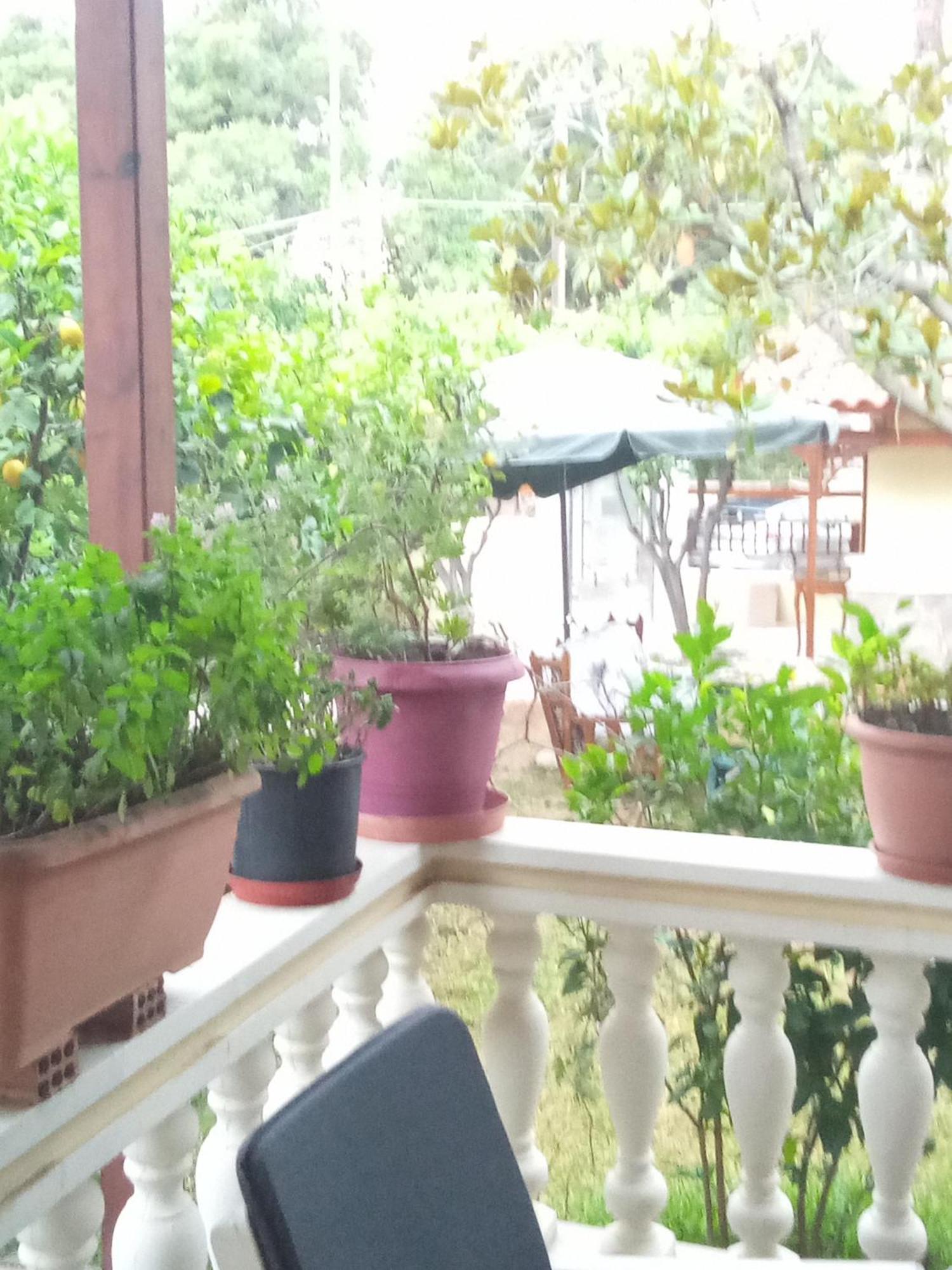 Anna'S Apartment And Studio Αρτέμιδα Εξωτερικό φωτογραφία