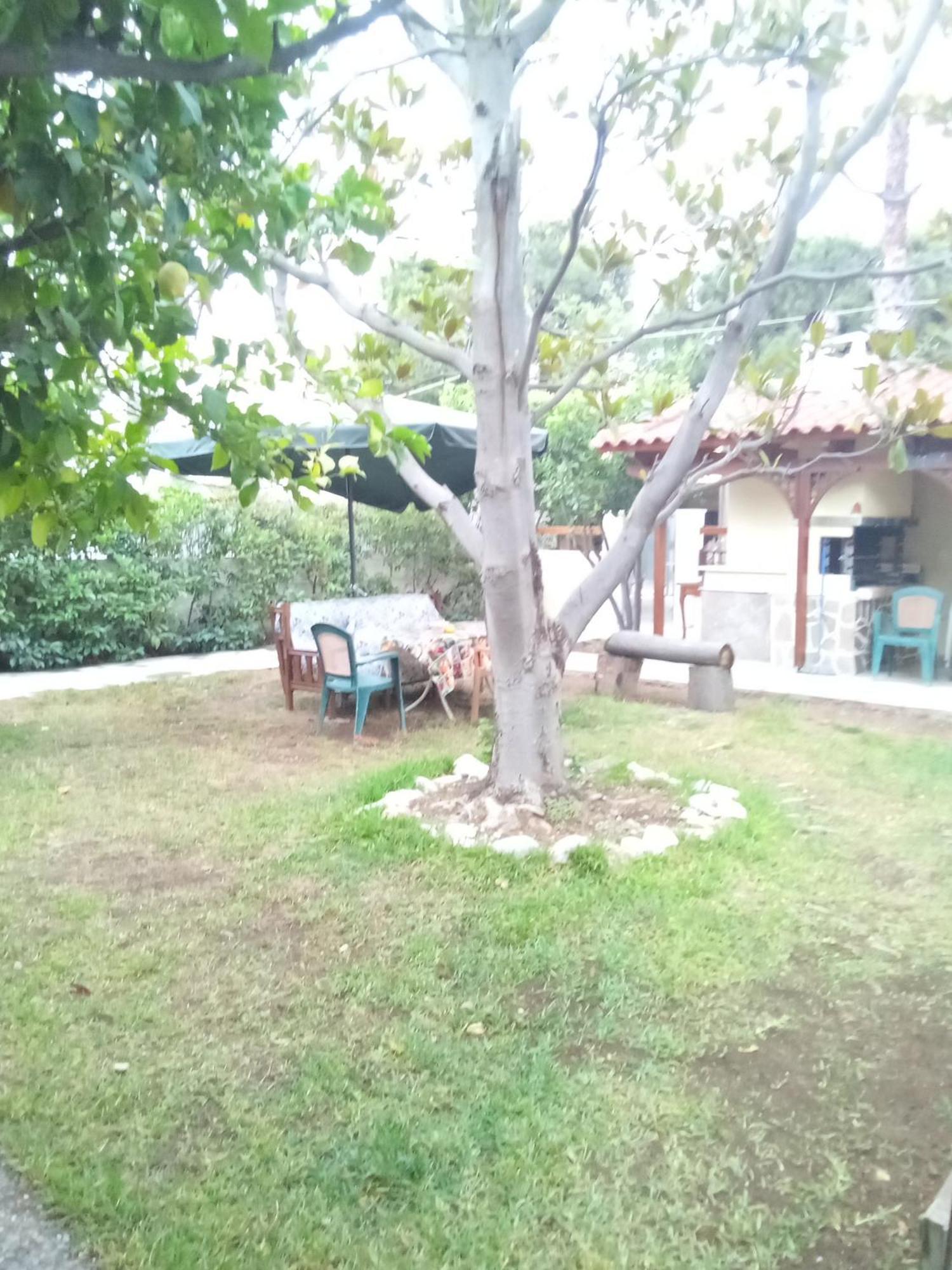 Anna'S Apartment And Studio Αρτέμιδα Εξωτερικό φωτογραφία