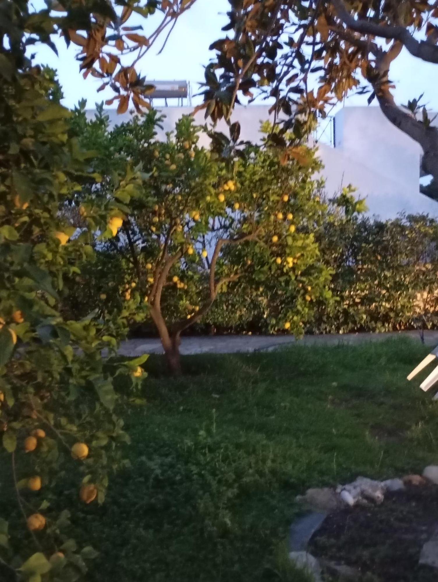 Anna'S Apartment And Studio Αρτέμιδα Εξωτερικό φωτογραφία