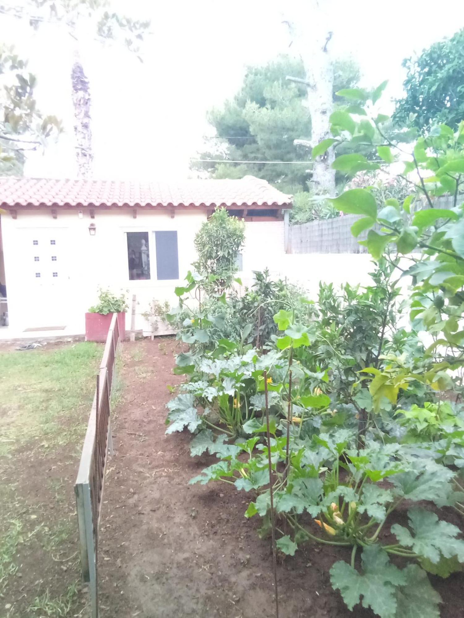 Anna'S Apartment And Studio Αρτέμιδα Εξωτερικό φωτογραφία
