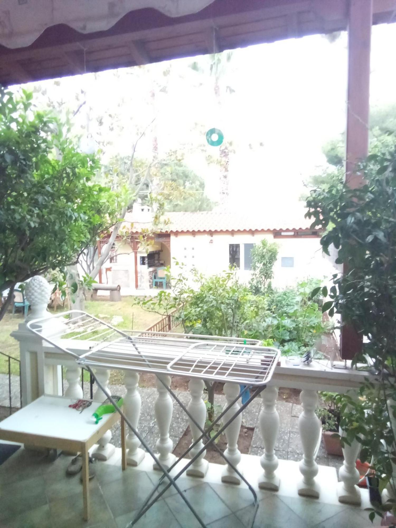 Anna'S Apartment And Studio Αρτέμιδα Εξωτερικό φωτογραφία