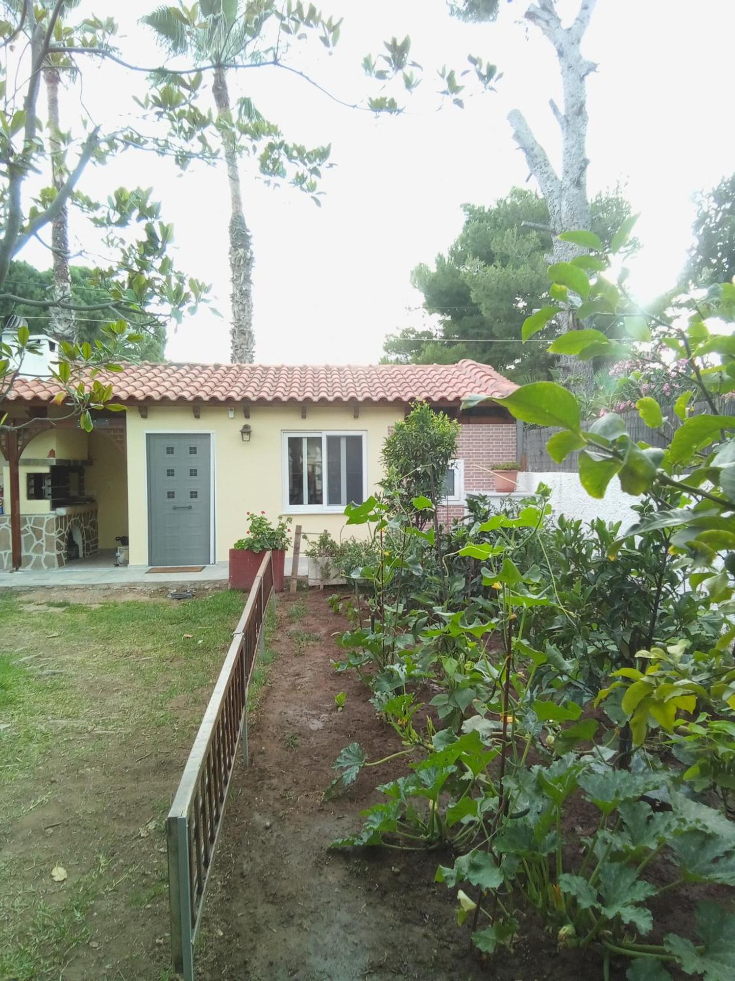 Anna'S Apartment And Studio Αρτέμιδα Εξωτερικό φωτογραφία