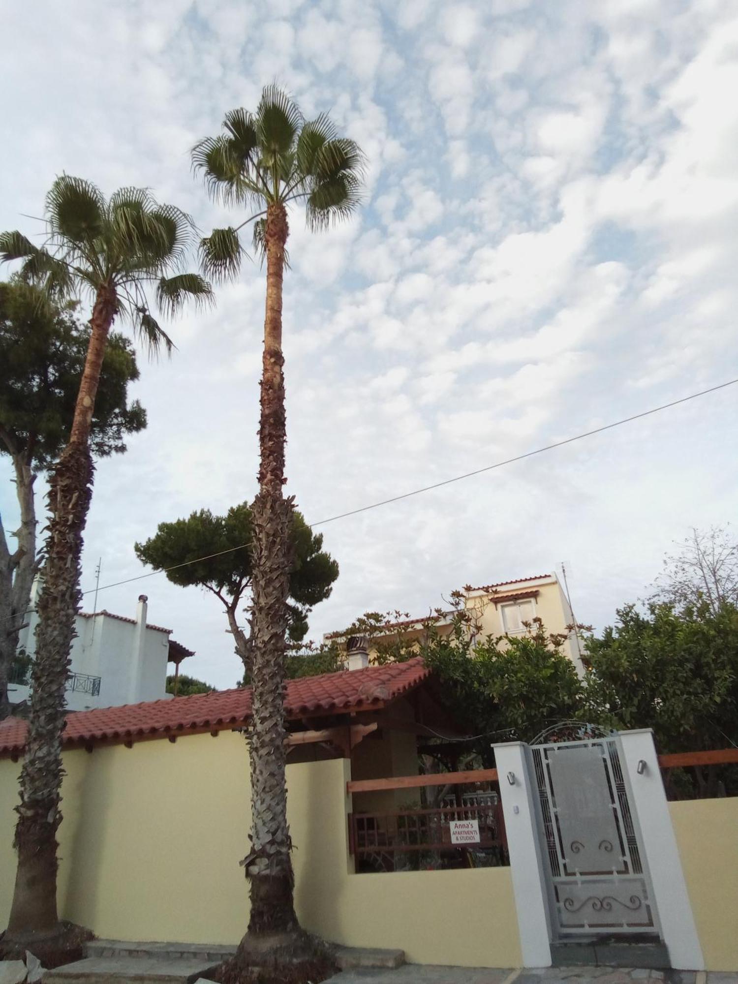 Anna'S Apartment And Studio Αρτέμιδα Εξωτερικό φωτογραφία