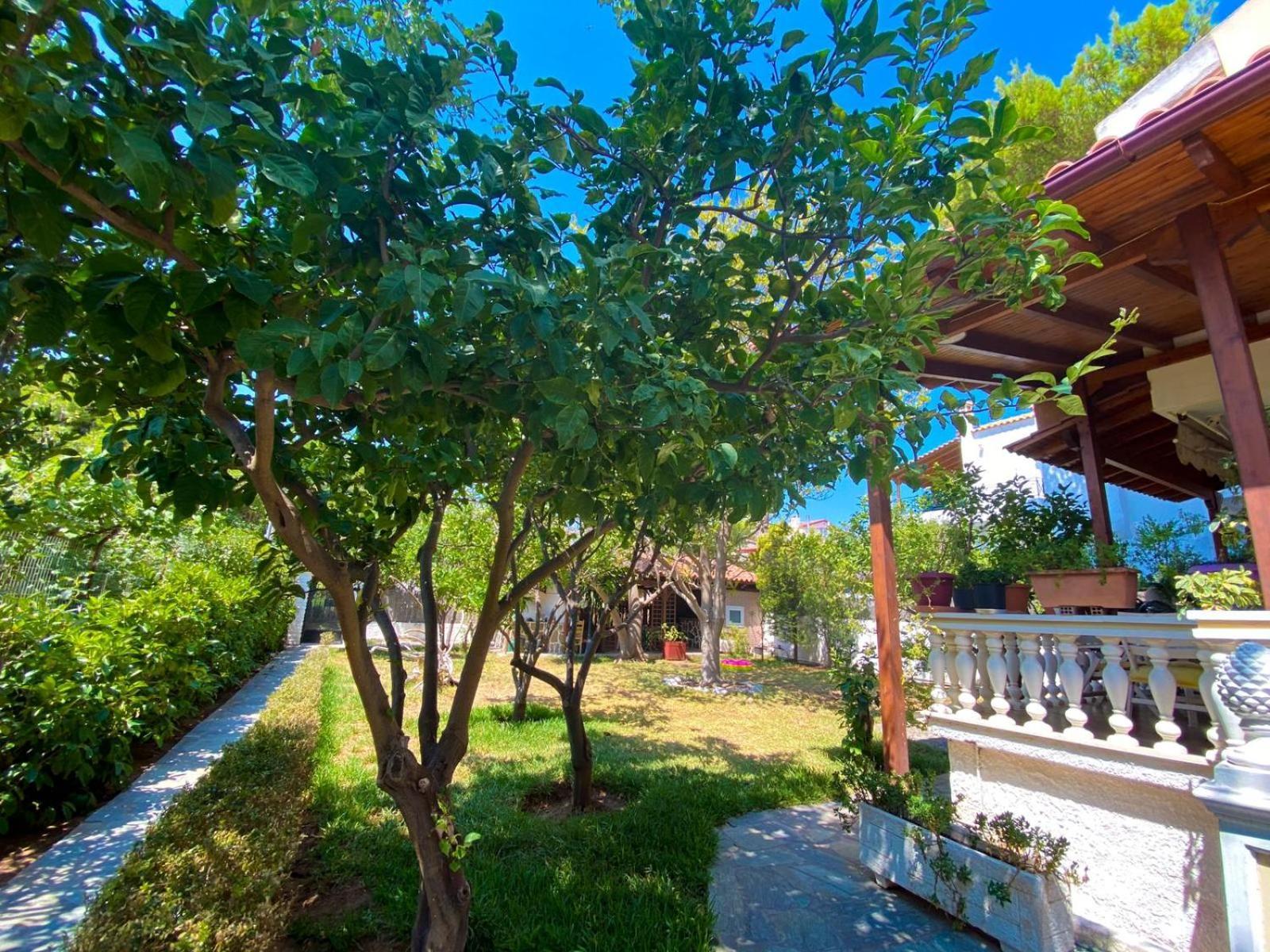 Anna'S Apartment And Studio Αρτέμιδα Δωμάτιο φωτογραφία